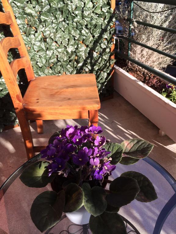 Shelisa B&B Roma Eksteriør bilde